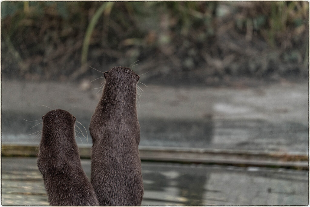Zoo Berlin