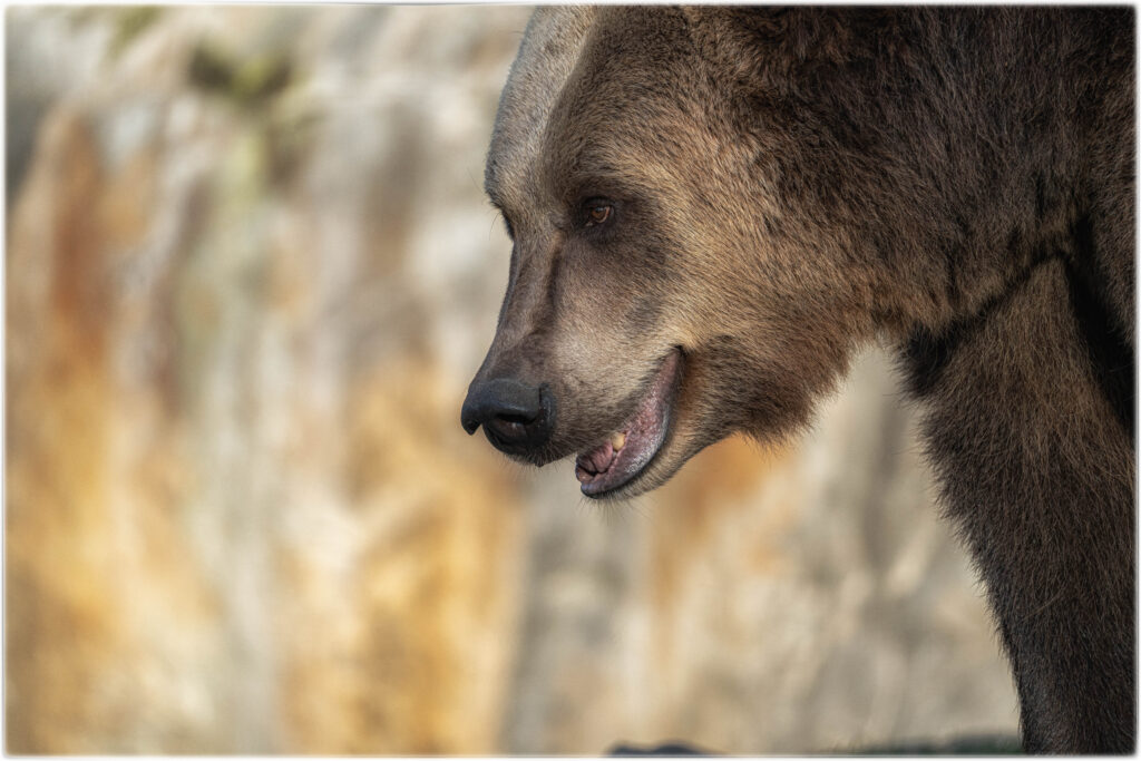 Zoo Berlin